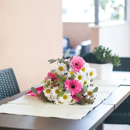 奥罗拉之家住宿加早餐酒店 3*