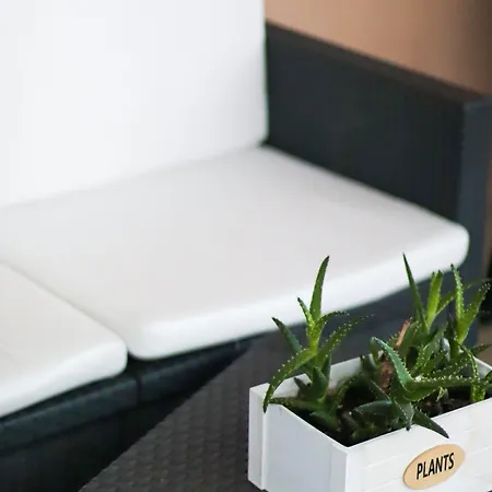 奥罗拉之家住宿加早餐酒店 住宿加早餐酒店