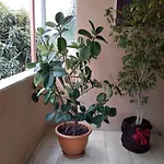 B&B Aurora 3*