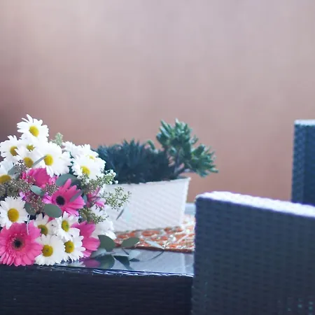 Bed and Breakfast Aurora 3*