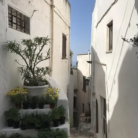 Aurora Bed and Breakfast Μπάρι